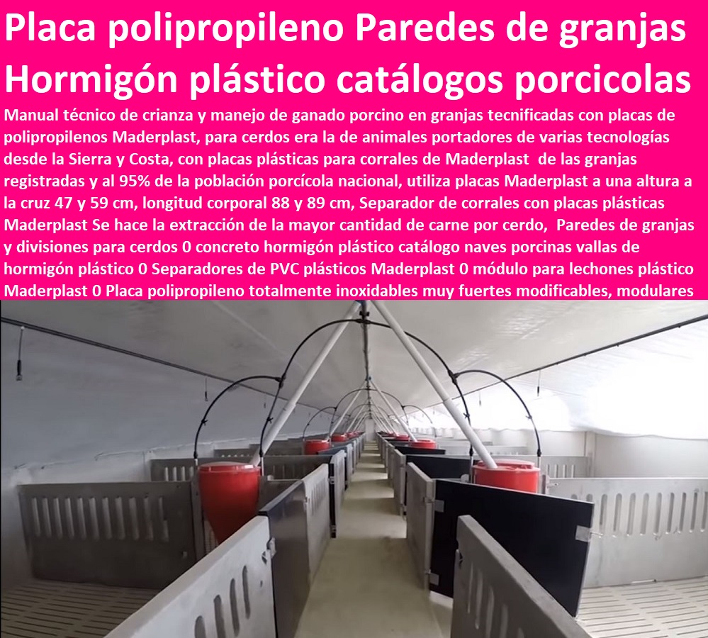 Paredes de granjas y divisiones para cerdos 0 concreto hormigón plástico catálogo naves porcinas vallas de hormigón porcicultura jaulas, corrales, parideras, porcinas corral, gestación cerdas, parto cerda, lechonera, destete, jaula pre ceba porcinos, corraleja, ceba, engorde cerdos, porqueriza cría de lechones, pisos jaulas comederos, plástico 0 Separadores de PVC plásticos Maderplast 0 módulo para lechones plástico Maderplast 0 Placa polipropileno Paredes de granjas y divisiones para cerdos 0 concreto hormigón plástico catálogo naves porcinas vallas de hormigón plástico 0 Separadores de PVC plásticos Maderplast 0 módulo para lechones plástico Maderplast 0 Placa polipropileno